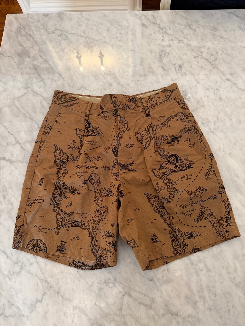 Banana Republic Brown Map-Print Flat Front Men's Shorts